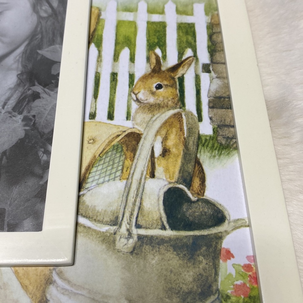 Easter bunny white frame 4 x 6 - Picture 14 of 15